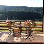 Logis Restaurant La Vigotte 2* Жирмон-Валь-д'Ажоль