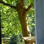 Отель Logis Restaurant La Vigotte 2*