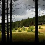 Отель Logis Restaurant La Vigotte 2*