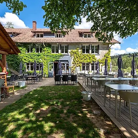 Logis Hotel La Vigotte Girmont-Val-d'Ajol