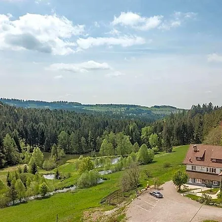 Logis Hotel La Vigotte 2* Girmont-Val-d'Ajol