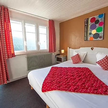 Logis Hotel La Vigotte 2* Girmont-Val-d'Ajol