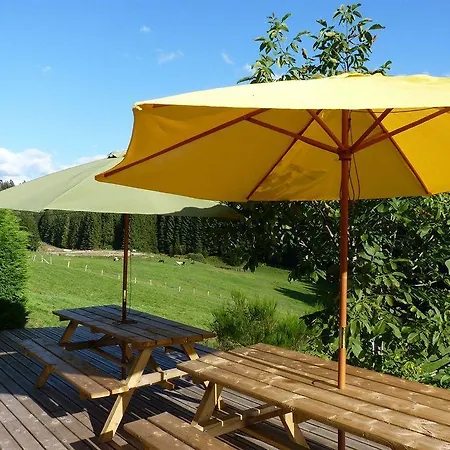 Logis Hotel La Vigotte Hotel Girmont-Val-d'Ajol
