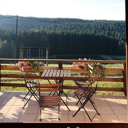 Logis Hotel La Vigotte 2* Girmont-Val-d'Ajol