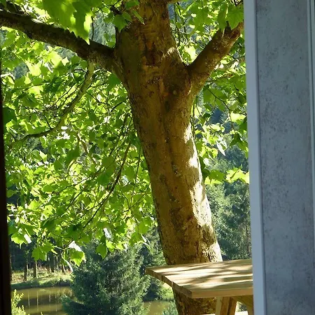 Hotel Logis Hotel La Vigotte 2*