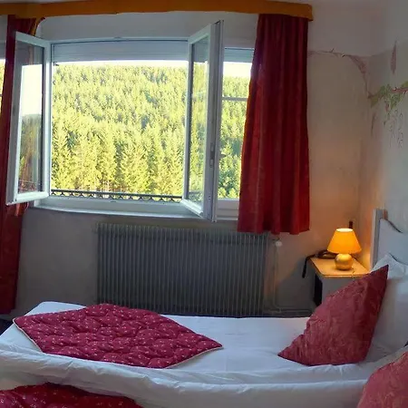 Logis Hotel La Vigotte Hotel