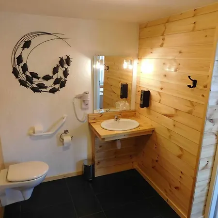 Logis Hotel La Vigotte 2*