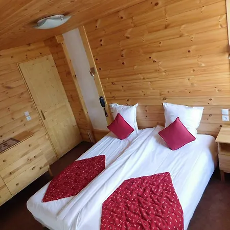 Logis Hotel La Vigotte 2* Girmont-Val-d'Ajol