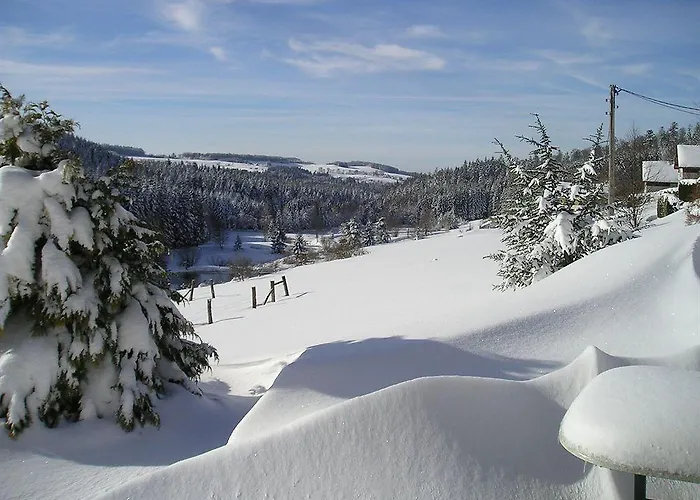 Restaurant La Vigotte Ξενοδοχείο