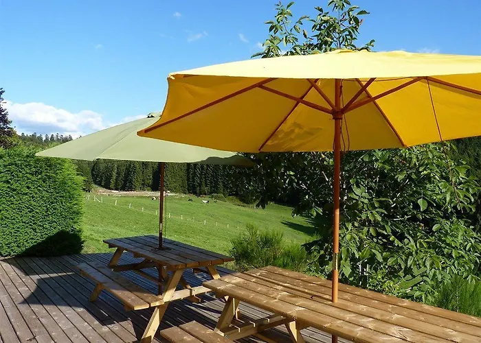 Restaurant La Vigotte Ξενοδοχείο Girmont-Val-dʼAjol