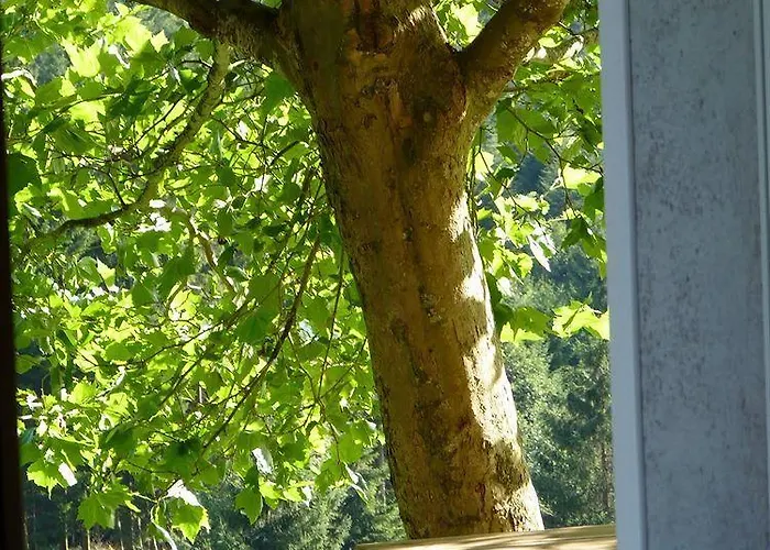 酒店 Logis Restaurant La Vigotte 2*