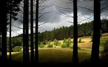 Ξενοδοχείο Restaurant La Vigotte 2*