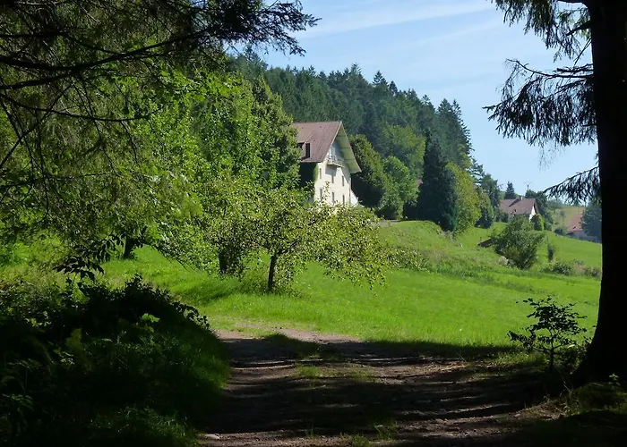 酒店 Logis Restaurant La Vigotte