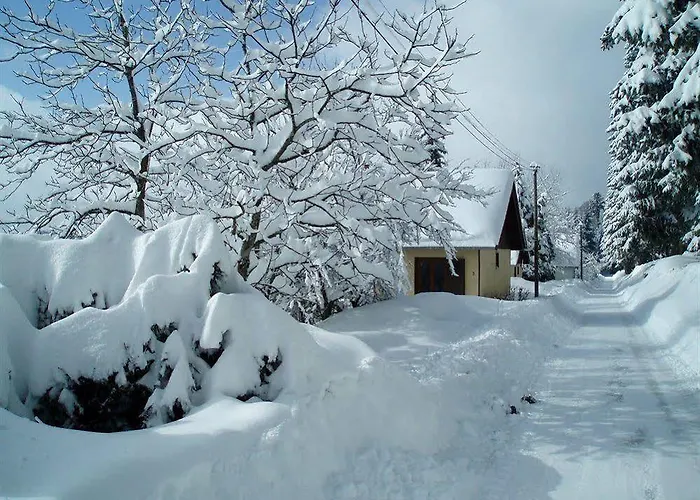 Restaurant La Vigotte Ξενοδοχείο